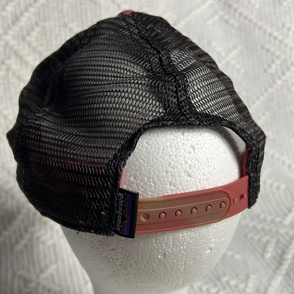 Patagonia Fitz Roy Bison Trucker hat